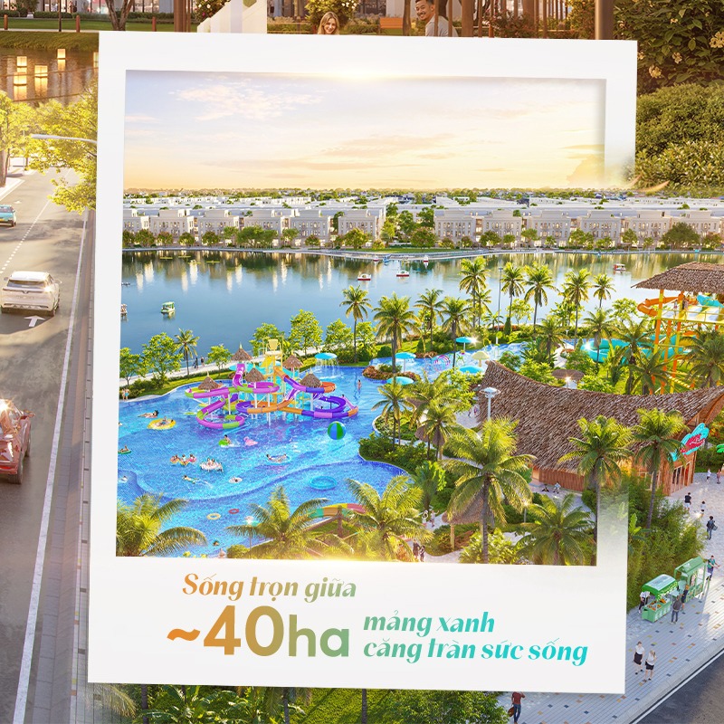 Khu vui chơi công viên hình ảnh